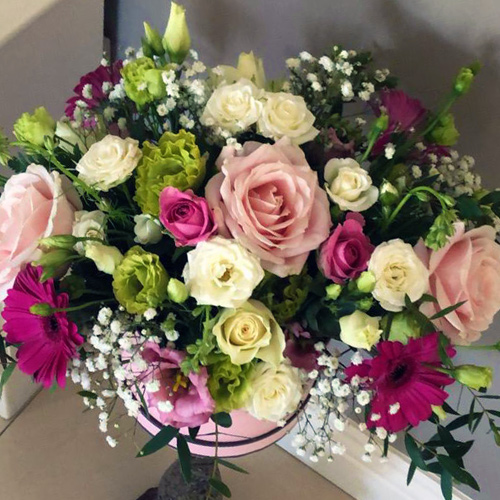 Baby Pink and White Roses